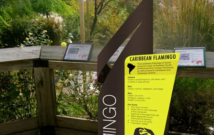 規(guī)劃設(shè)計(jì)作品案例展示