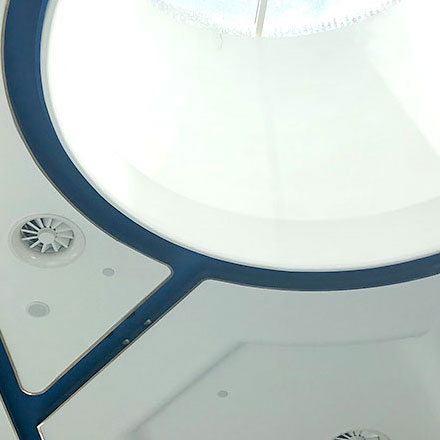 海外動物標識設(shè)計公司招聘