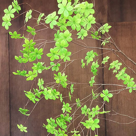 綜合體作品案例展示