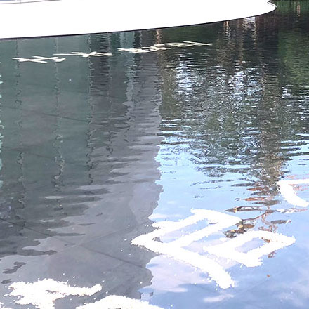 樹的標(biāo)識(shí)牌設(shè)計(jì):植物種類的標(biāo)志