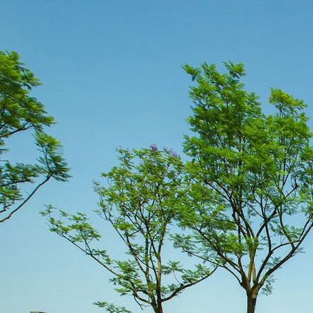 廚房裝修設計效果圖