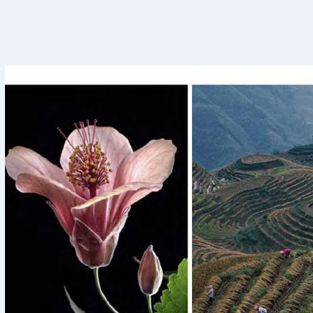 標識設計作品案例展示